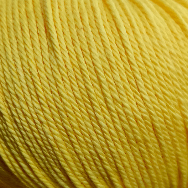 509 amarillo
