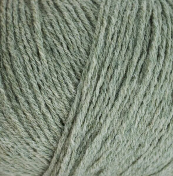 Eucalyptus